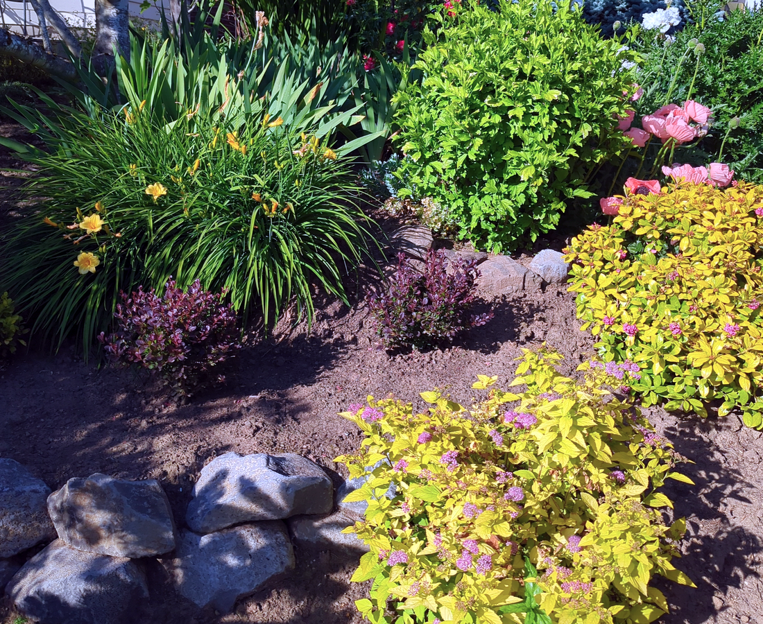 In-Ground Planters