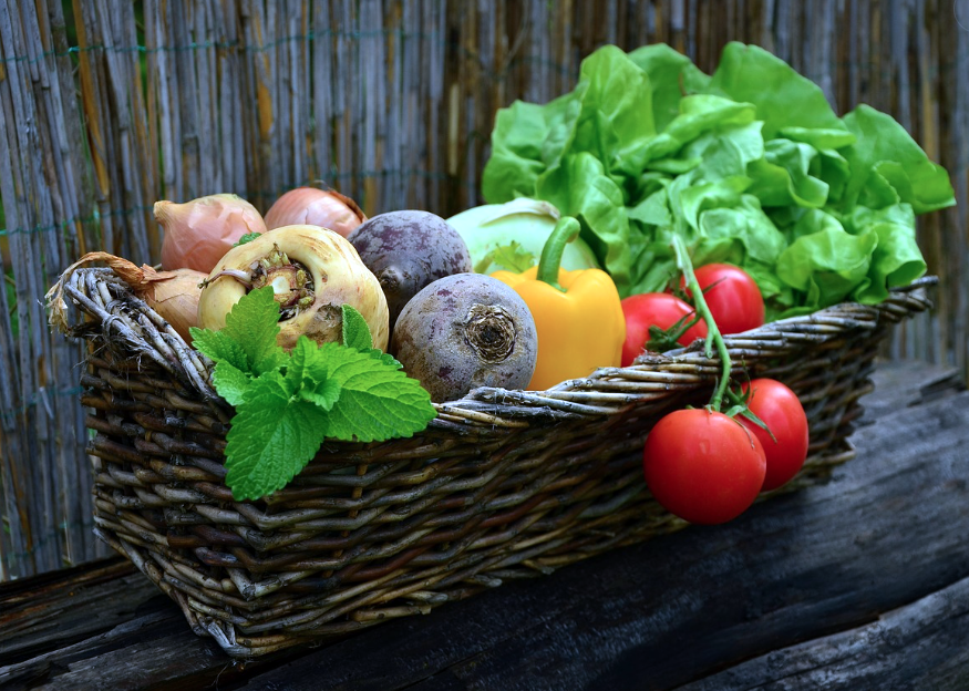 Organic Gardening